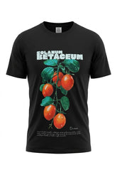 TOMATE DE ÁRBOL / Solanum Betaceum