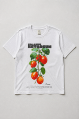 TOMATE DE ÁRBOL / Solanum Betaceum